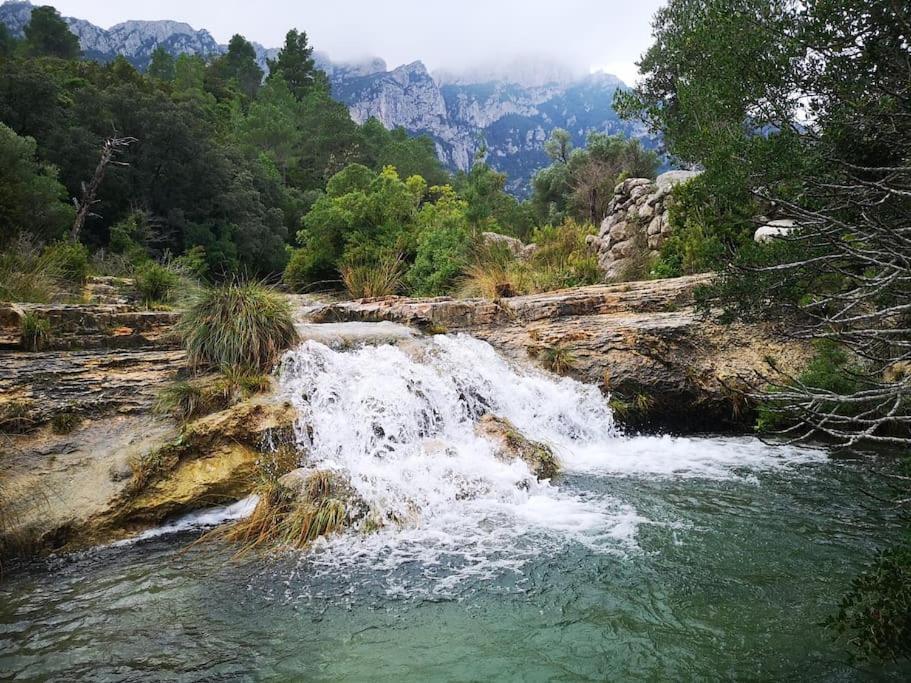 Апартаменти Ca La Cabrera Alfara de Carles Екстер'єр фото